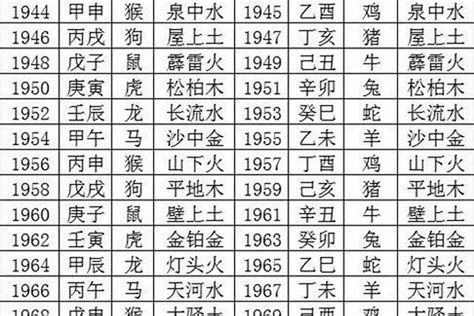 2027年五行属什么